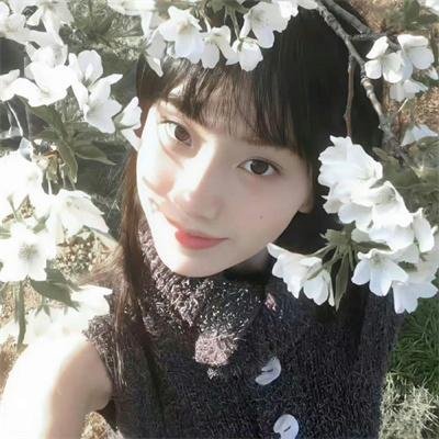 修真聊天群 动态漫